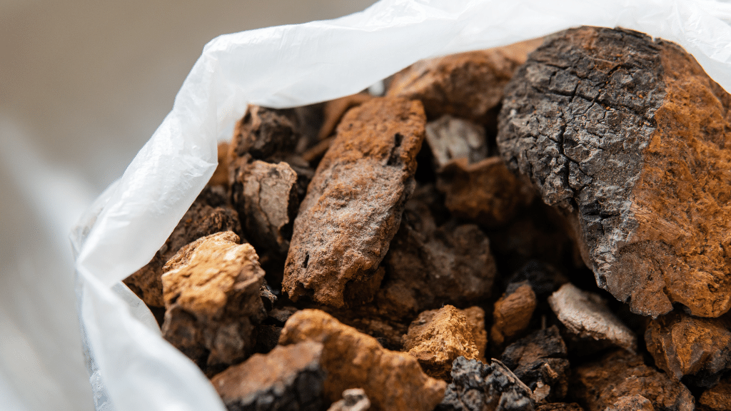 How to Use Chaga for Erectile Dysfunction The Complete Guide